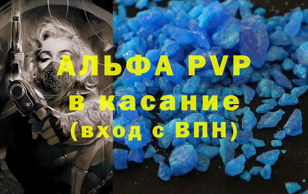 мяу мяу мука Алзамай