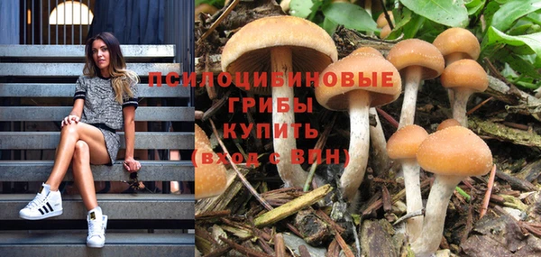 мяу мяу мука Алзамай