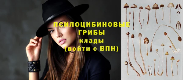 спиды Алексеевка