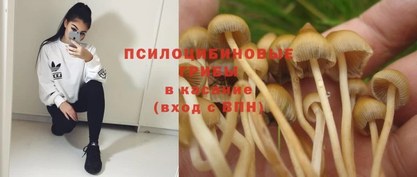 мяу мяу мука Алзамай