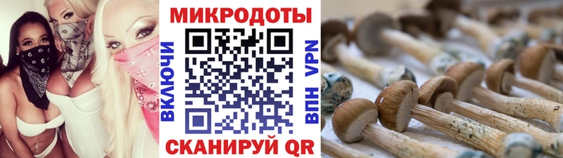 Галлюциногенные грибы MAGIC MUSHROOMS  Чебоксары 